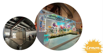 Lemon Production Limited